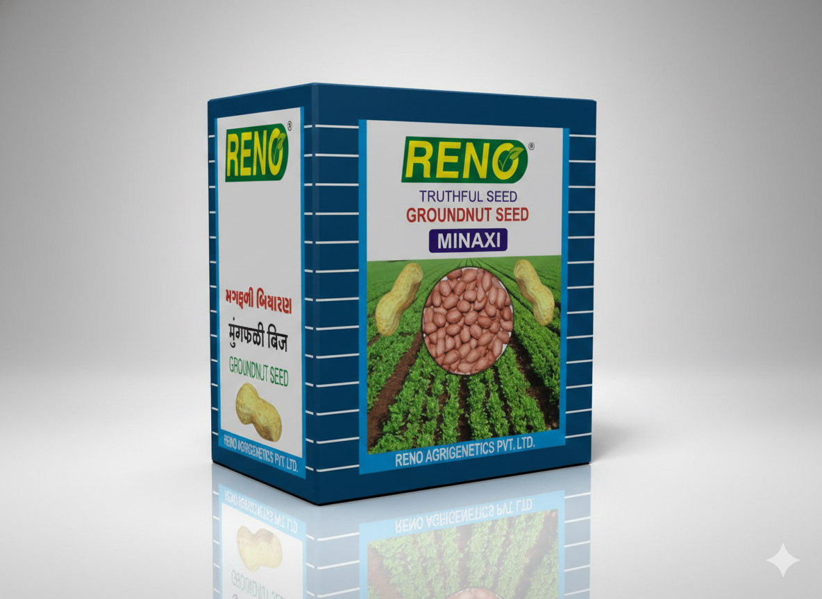 RENO MINAXI